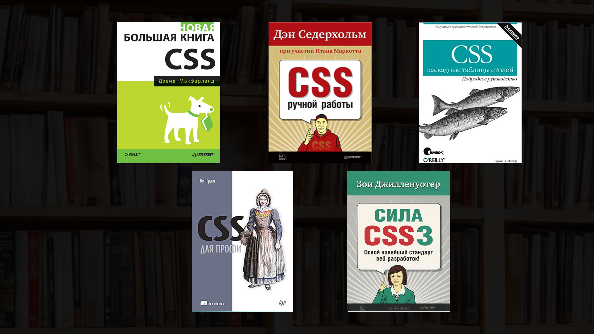 Лушие книги по CSS для разработчиков [2023]