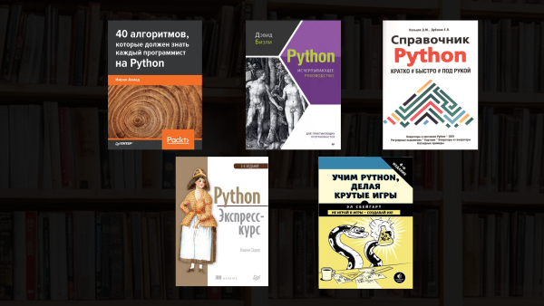 Лучшие книги для изучения Python с нуля: ТОП-5 самоучителей