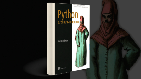 Скачать книгу «Python для начинающих. Учимся программировать с помощью мини-игр и загадок» pdf