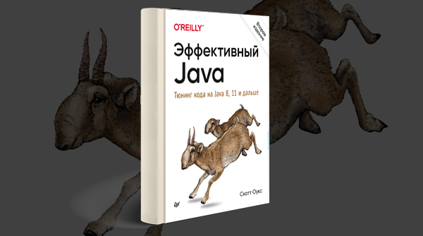 «Эффективный Java. Тюнинг кода на Java 8, 11 и дальше»