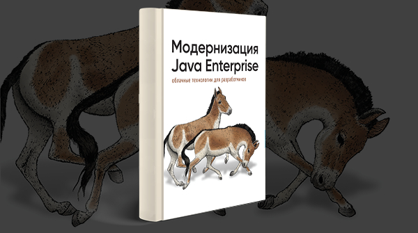 Скачать книгу «Модернизация Java Enterprise: облачные технологии для разработчиков» pdf