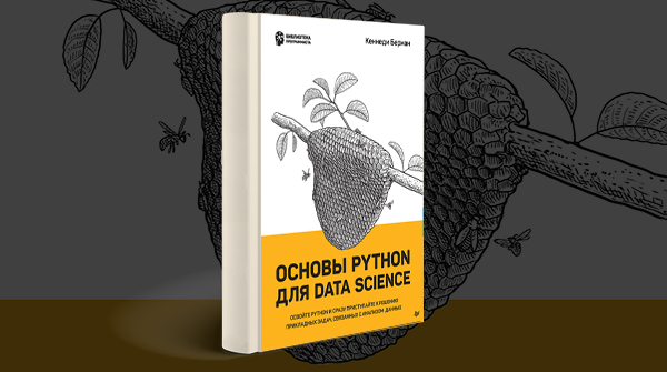 «Основы Python для Data Science»